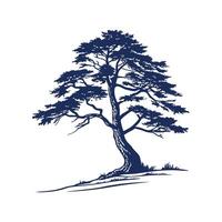 Charming Blue Atlas Cedar Tree Outline vector