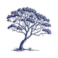 Stylish Blue Mahoe Tree Outline Graphic vector