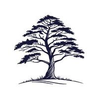 Artful Cedar of Lebanon Tree Outline Design vector