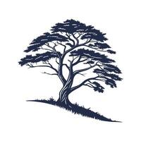 Charming Cedar of Lebanon Tree Outline Graphic vector