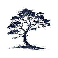 Cedar Tree Bold Outline Design for Illustrations vector
