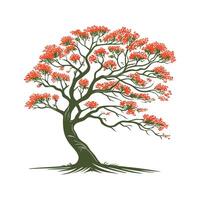 Chinese Flame Tree Bold Outline for Creative Use vector