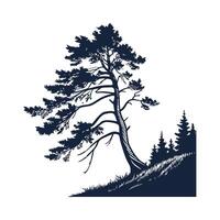 Elegant Coast Redwood Tree Outline for Illustration vector