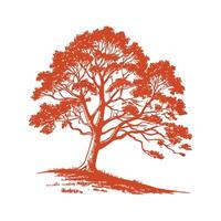 Charming Copper Beech Tree Outline for Artistic Use vector