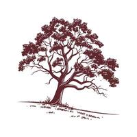 Charming Chinkapin Oak Tree Outline for Design vector