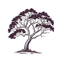 Charming Corkwood Tree Outline for Illustration Design vector