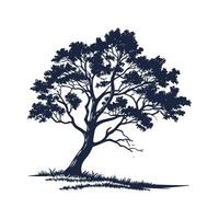 Charming Cottonwood Tree Outline for Unique Art vector