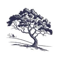 Elegant Cork Oak Tree Bold Outline Art for Decoration vector