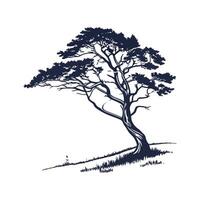Elegant Cypress Tree Outline for Decorative Art vector