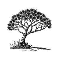 Devils Walking Stick Tree Bold Outline for Design vector