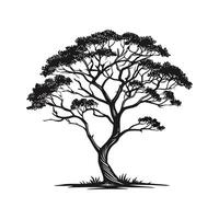 Charming Devils Walking Stick Tree Outline Illustration vector