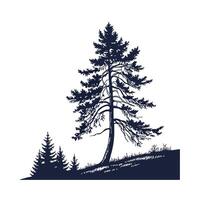 Charming Douglas Fir Tree Outline for Design vector