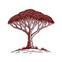 Charming Dragons Blood Tree Outline Design for Art vector
