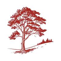 Charming Eastern Raved Cedar Tree Outline Illustration vector