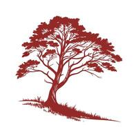 Elegant Eastern Red Cedar Tree Outline for Design vector
