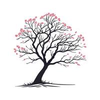 Elegant Eastern Redbud Tree Outline for Illustration vector