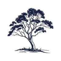 Charming Eucalyptus Tree Bold Outline Design vector