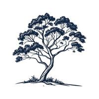 Elegant Eucalyptus Tree Outline for Unique Art vector