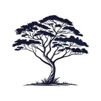 Charming False Acacia Tree Outline for Unique Decor vector