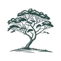 Elegant False Acacia Tree Bold Outline Art vector