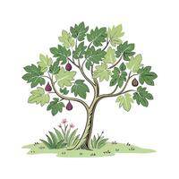 Stylish Fig Tree Bold Outline for Art vector