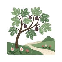 Fig Tree Bold Outline for Creative Illustration vector