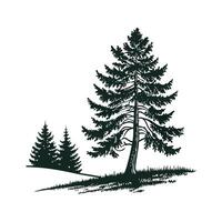Fir Tree Bold Outline Design for Unique Art vector