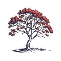 Florida Maple Tree Bold Outline Design for Art vector