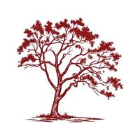 Stylish Florida Maple Tree Outline for Illustrative Use vector