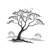 Ghost Gum Tree Bold Outline for Creative Use vector