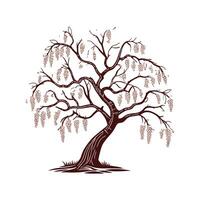 Golden Chain Tree Bold Outline for Unique Art vector
