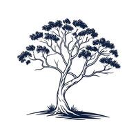 Charming Ghost Gum Tree Outline for Illustrations vector
