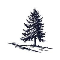 Stylish Fraser Fir Tree Outline for Artistic Use vector