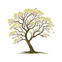 Charming Golden Chain Tree Outline for Design vector