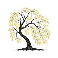 Charming Golden Willow Tree Outline for Artistic Use vector