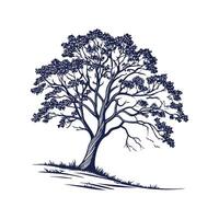 Stylish Hazel Tree Outline for Creative Uses vector