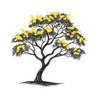 Charming Golden Wattle Tree Outline for Illustrative Design vector