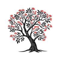 Elegant Indian Coral Tree Outline Design for Art vector