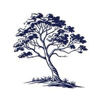 Indian Beech Tree Bold Outline for Art vector