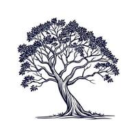 Charming Indian Fig Tree Outline for Illustrative Use vector