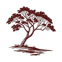 Charming Indian Kino Tree Outline for Unique Art vector