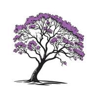 Stylish Jacaranda Tree Outline for Design vector