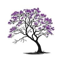 Jacaranda Tree Bold Outline for Unique Illustrations vector