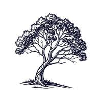 Stylish Indian Laurel Tree Bold Outline Design vector