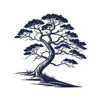 Stylish Japanese Cedar Tree Bold Outline Design vector