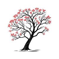 Kaffirboom Coral Tree Bold Outline for Unique Art vector