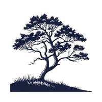 Stylish Juniper Tree Bold Outline Art vector