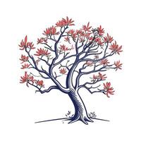 Charming Kaffirboom Coral Tree Outline for Design vector