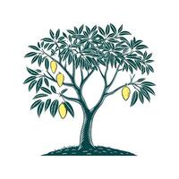 Charming Mango Tree Outline for Illustrative Use vector