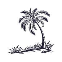 Charming Mexican Fan Palm Tree Outline for Design vector